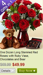 long_stemmed_red_roses